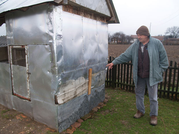 ПОТРАГА ЗА ЗВЕРИ: Дрекавац дави овце и голубове